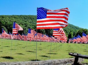 Flags